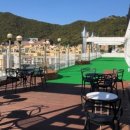 개인생활펫 이미지