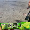 소하우스바 이미지
