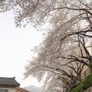 남천2동 행정복지센터 이미지