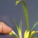 가계보건진료소 이미지