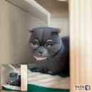 방방플레이클럽 | 24개월 18일 - 이모(?) 놀러옴