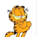 고양이별 캣 카페 이미지