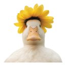도안동감나무집 유성본점 네이버블로그