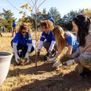 러브농장 이미지