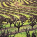 벨리농장 이미지