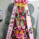 씨와이씨