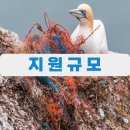 건어물/젓갈소매업 이미지