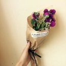 증평꽃집 이미지