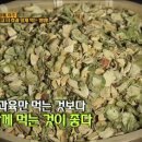 환요 이미지