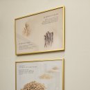 삼성인삼 | 한뿌리죽 삼성점, 무역센터 강남죽집에서 당일도정 삼계죽 포장 후기