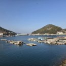 파랑새펜션 이미지