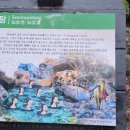 지리산 순심이네 캠핑 민박 이미지