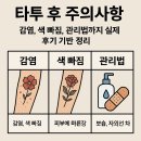 타투 후 주의사항: 감염, 색 빠짐, 관리법까지 실제 후기 기반 정리