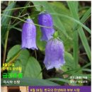 한국특산
