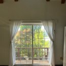 배나무골민박 | 발리 숲속 수영장이 매력적인 동남아 느낌 가득한 평택 트리하우스 (Tree House) 비버튼 펜션 솔직후기