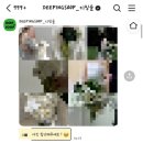 디핑숲