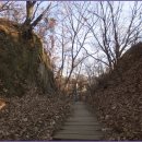 서리풀길 12 이미지