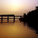 안마을 정자 앞 이미지