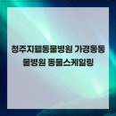 청주지웰동물병원 | 청주지웰동물병원 가경동동물병원 동물스케일링