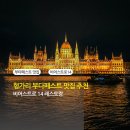 레어비어 | 헝가리 부다페스트 맛집 추천. 현지 맛집 비어스트로 14 솔직후기 (feat. 헝가리 스테이크 맛집. 헝가리...