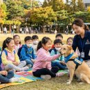 위드펫동물병원 이미지