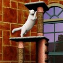 펫츠월드 이미지