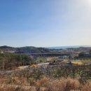 트럼프3부동산공인중개사사무소 이미지