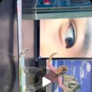 하땅세 극장 이미지