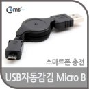G3895 이미지