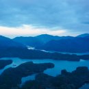 게으른 악어 이미지