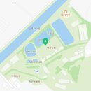 금모래피싱