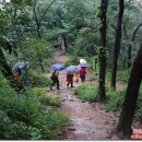 중랑캠핑숲 이미지