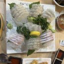 독도회센타 | [내돈내산] 🐟방이동 먹자골목 2차 성지! 독도회센터 솔직후기 (ft. 소주 4병 술술)