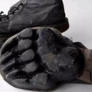 맹수남 네이버블로그