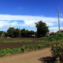 대정1리 이미지