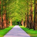 제자사랑학원 이미지