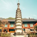 순천-47호 브런치