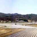 솔바우마을 이미지