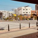 스탠다드옵티크 이미지