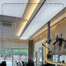 모모살롱 이미지