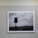 눈사랑안과 이미지