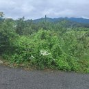 주덕읍사무소 이미지