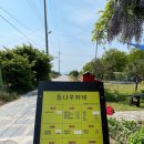 벚꽃향기민박 이미지