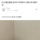 강아지 마약방석 사줬는데 궁궐이여ㅋㅋㅋ 이미지