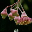 추산초교 이미지