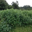 지성농장 이미지