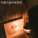 숲속캠핑장 이미지