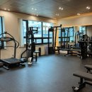 선샤인 피티샵 이미지