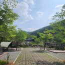 안성 서운산 자연휴양림 오토캠핑장 후기