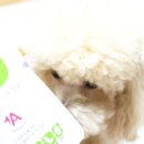 지남목장 이미지